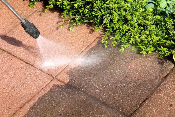 Best Pressure Washing Siding  in Lexington, MO